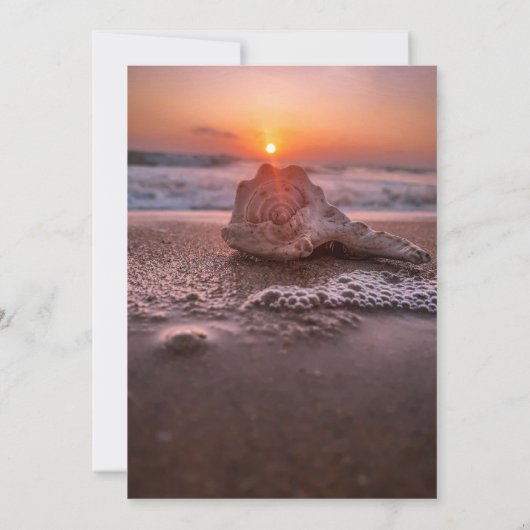 Strand Schelp Oceaan Zonsondergang,Licht Bewaar d Save The Date (Achterkant)