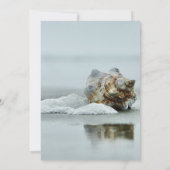 Strand Schelp Viering Van Het Leven Kaart (Achterkant)