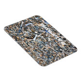 Strand, Schelpen, Drijfhout, Baltrum Eiland Ansich Magneet (Rechterzijde)