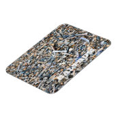 Strand, Schelpen, Drijfhout, Baltrum Eiland Ansich Magneet (Linkerzijde)