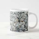 Strand Schelpen Kustmok Grote Koffiekop (Rechts)