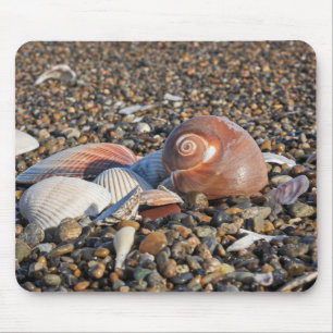 strand, schelpen, oceaan muismat