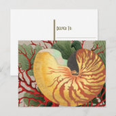  strand Seashell & Red Coral Briefkaart (Voorkant / Achterkant)