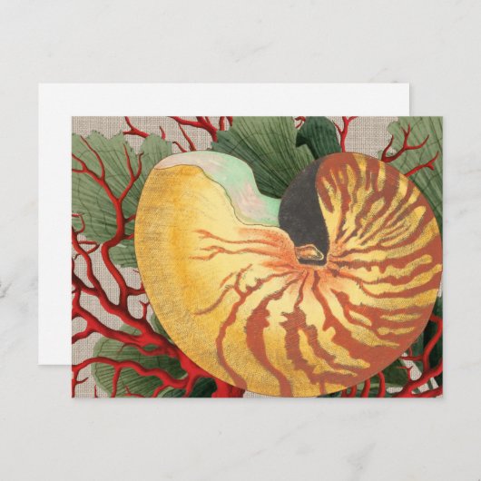 strand Seashell & Red Coral Briefkaart (Voorkant / Achterkant)