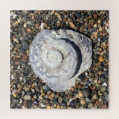 strand shell legpuzzel (Horizontaal)