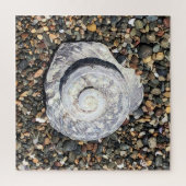 strand shell legpuzzel (Verticaal)