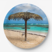 strand van Anse des Rochers Papieren Bordje (Voorkant)