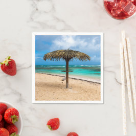 strand van Anse des Rochers Servet