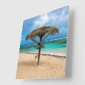 strand van Anse des Rochers Vierkante Klok (Hoek)