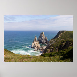 Strand van de beer poster