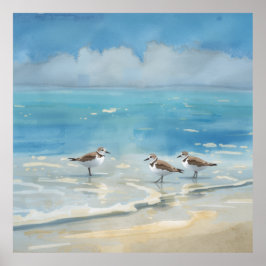 Strand van de Strandlopers Oceaan Poster