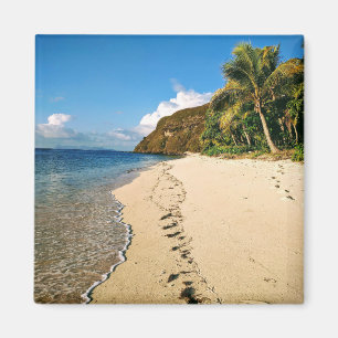 Strand van een eiland in Fiji Magneet