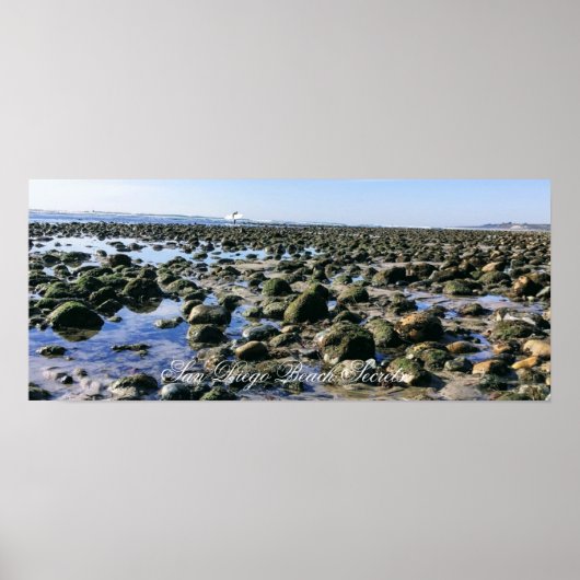 strand van het oude Man - San Onofre State Beach Poster (Voorkant)