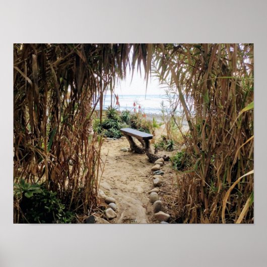 strand van het oude Man - San Onofre State Beach Poster (Voorkant)