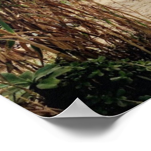 strand van het oude Man - San Onofre State Beach Poster (Hoek)