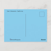 Strand van San Clemente Briefkaart (Achterkant)