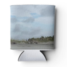 Strand van Tybee Island