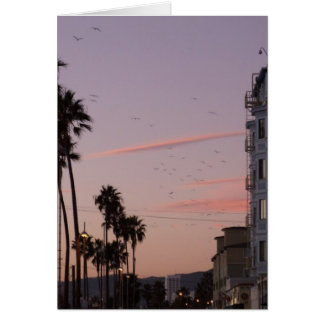 strand van Venice