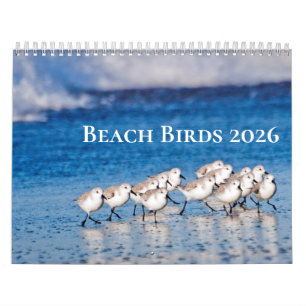 Strand Vogels Fotografie 2025 Kalender