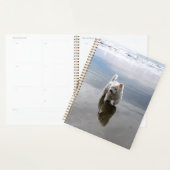 Strand website reflectie fotoplanner planner (Display)