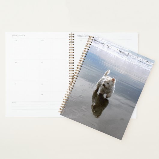 Strand website reflectie fotoplanner planner (Display)