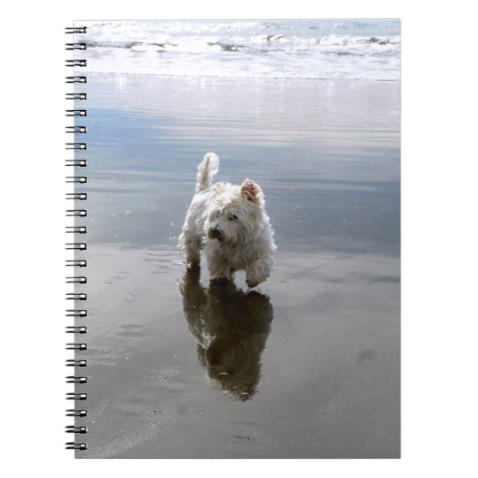 Strand Westie Reflectie Foto Notitieboek (Voorkant)