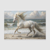 Strand Witte Paard Decoupage Tissuepapier (Voorkant)