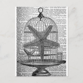 strand woordenboek print steampunk Birdcage Starfi Briefkaart