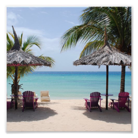 Strand Zand Zee Palm Vakantie Bestemming's Bestemm Foto Afdruk (Voorkant)