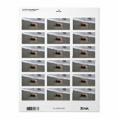 Strand, Zand, Zeester, Schelp   Trouwlabel Etiket (Full Sheet)