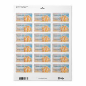 Strand,Zee ster,Schelp Etiket (Full Sheet)
