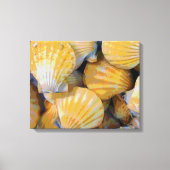 Strand Zeeschelpen Art Canvas Print (Voorkant)
