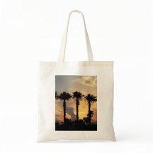 Strand Zonsondergang Palmboom – Tropisch Winkeluit