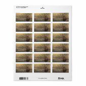 Strand Zonsondergang Schelpen Slingerlichten Label (Full Sheet)