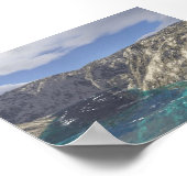 strandalgen poster (Hoek)