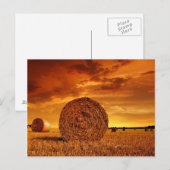 Strandbalken op landbouwgrond met rode troebele he briefkaart (Voorkant / Achterkant)