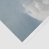 strandbandieten stinkdier, wasbeer, vos decoupage tissuepapier (Detail)