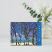 strandbomen voor de schildpad briefkaart (Staand voorkant)