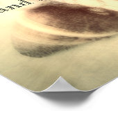 strandcitaat poster met zeeschelpen fotokunst (Hoek)