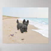 Stranddag Poster (Voorkant)