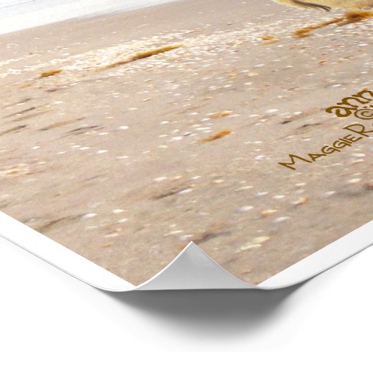 Stranddag Poster (Hoek)
