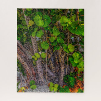 Stranddagen, Bewolkt, Zee Druiven Groeien Wild Legpuzzel