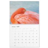 Stranddieren Kalender (Jan 2027)