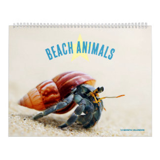 Stranddieren Kalender