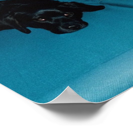 stranddutje poster (Hoek)