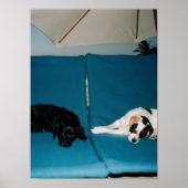 stranddutje poster (Voorkant)