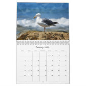 Stranden en oceanen Fotografische kunst Kalender (Jan 2026)