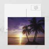 stranden op Negril, Jamaica 3 Briefkaart (Voorkant / Achterkant)