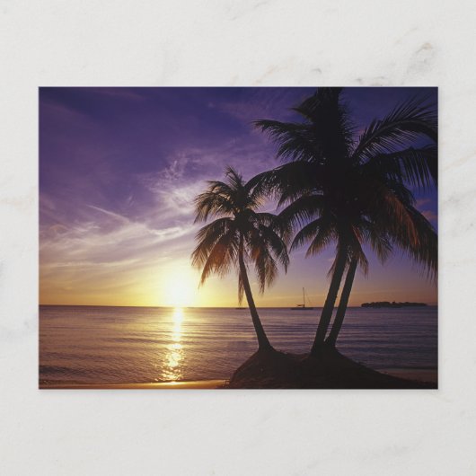 stranden op Negril, Jamaica 3 Briefkaart (Voorkant)