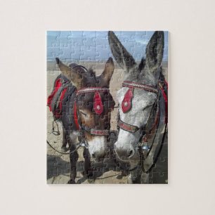 strandezel legpuzzel